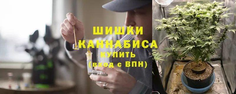 Канабис индика  Лыткарино 